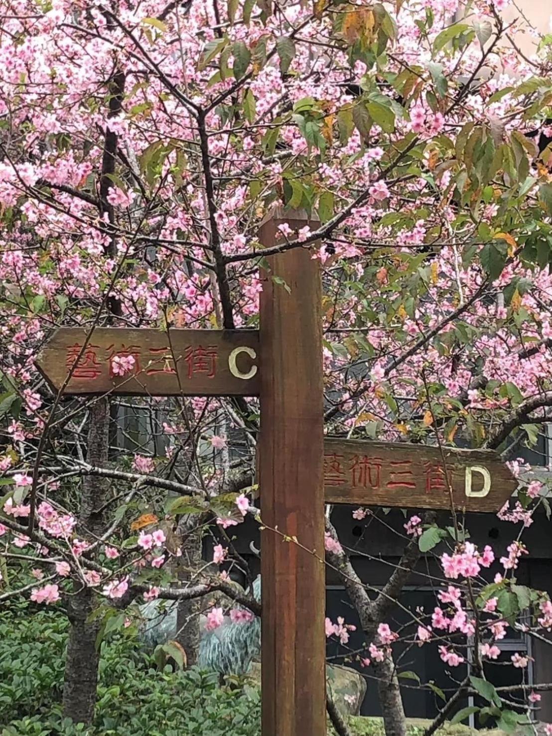 Miaoli Sanyi Travelling Homestay Экстерьер фото